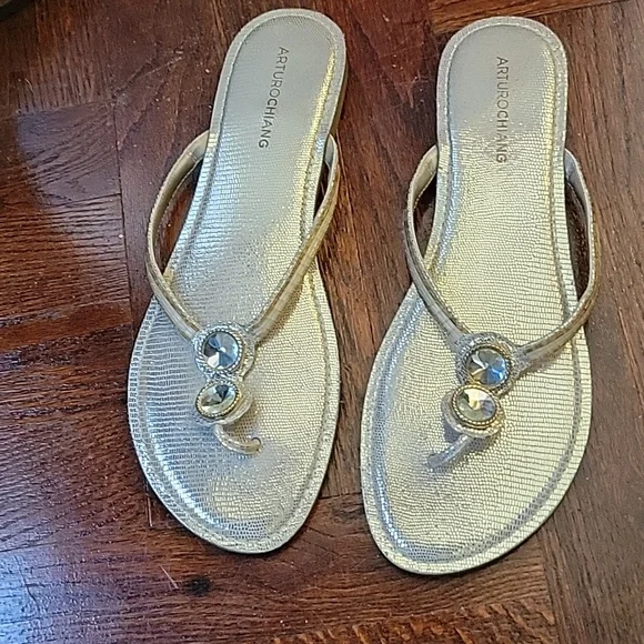 Arturo chiang hotsell flip flops